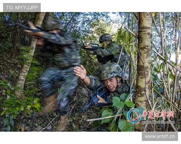 巴尔科拉是否依赖体系？战术角色与自主进攻能力分析