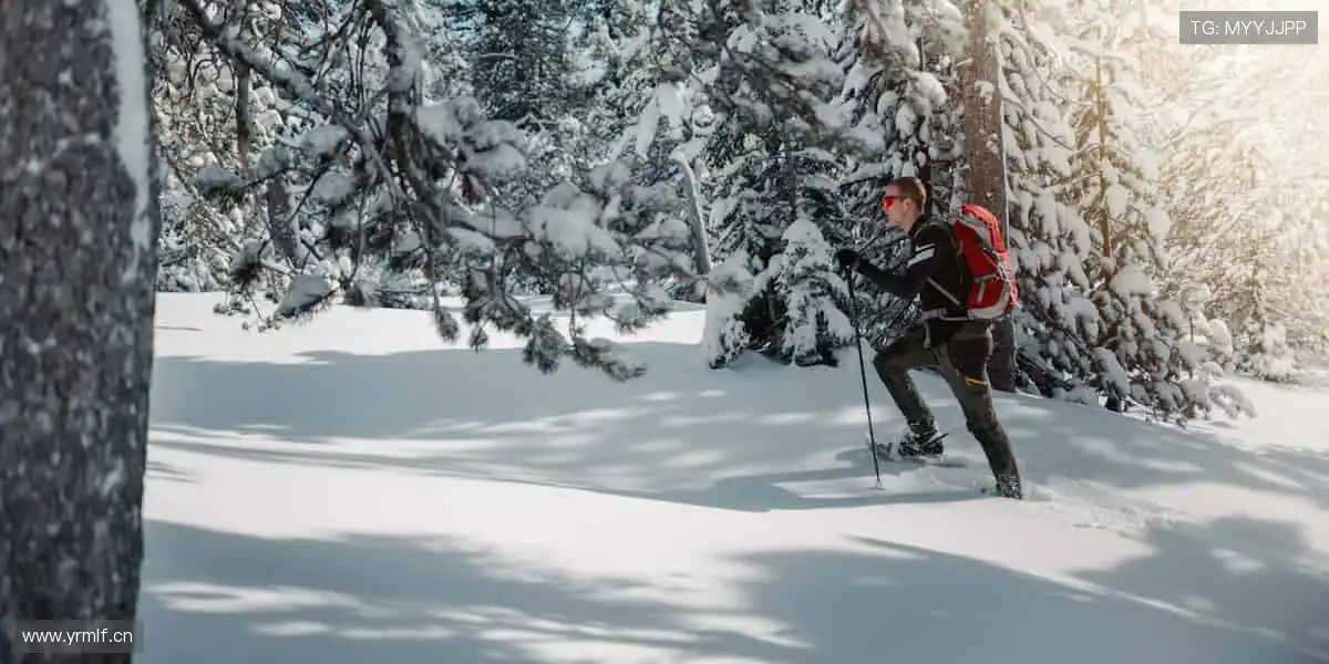 🎮 互动直播，和千万球迷一起嗨！